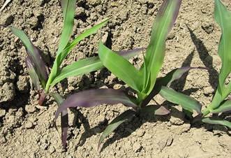 cid:image006.jpg@01D4FE85.35E01390